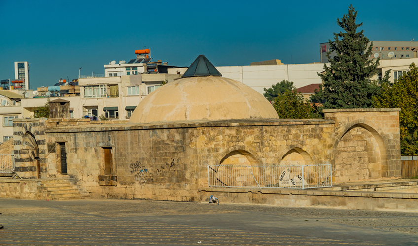 tsr55091638745421771450494